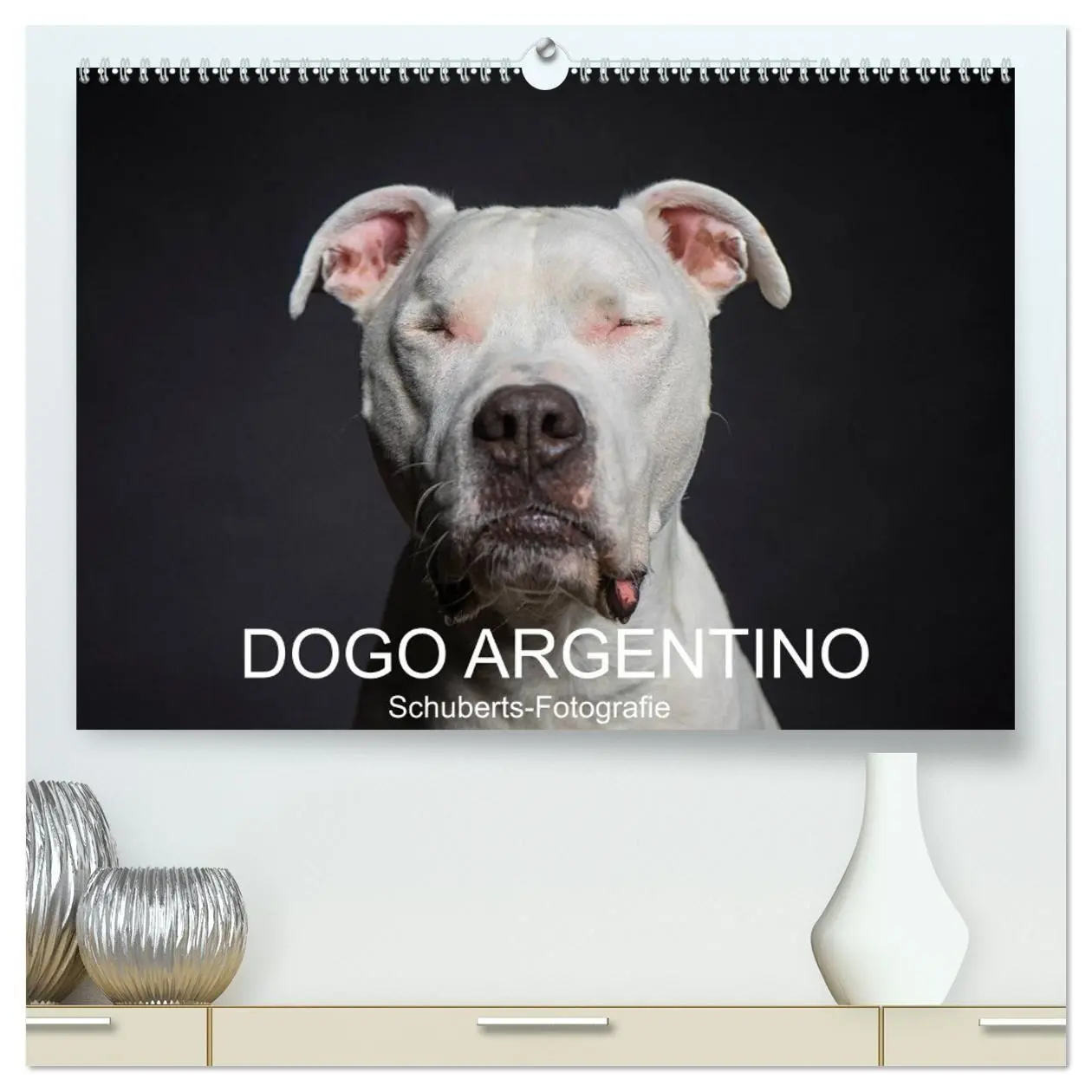 Cover: 9783457745755 | DOGO ARGENTINO (hochwertiger Premium Wandkalender 2026 DIN A2...