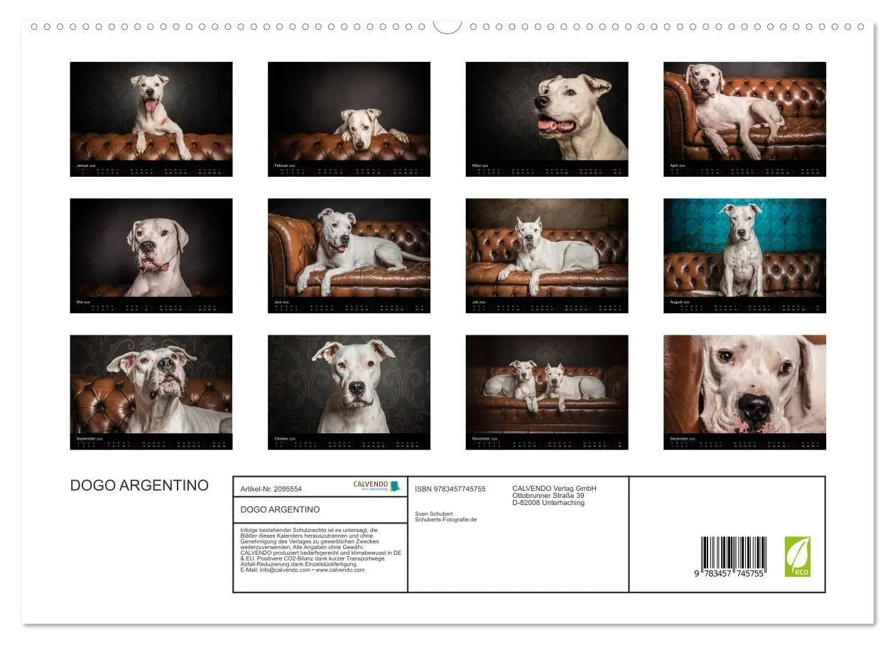 Bild: 9783457745755 | DOGO ARGENTINO (hochwertiger Premium Wandkalender 2026 DIN A2...