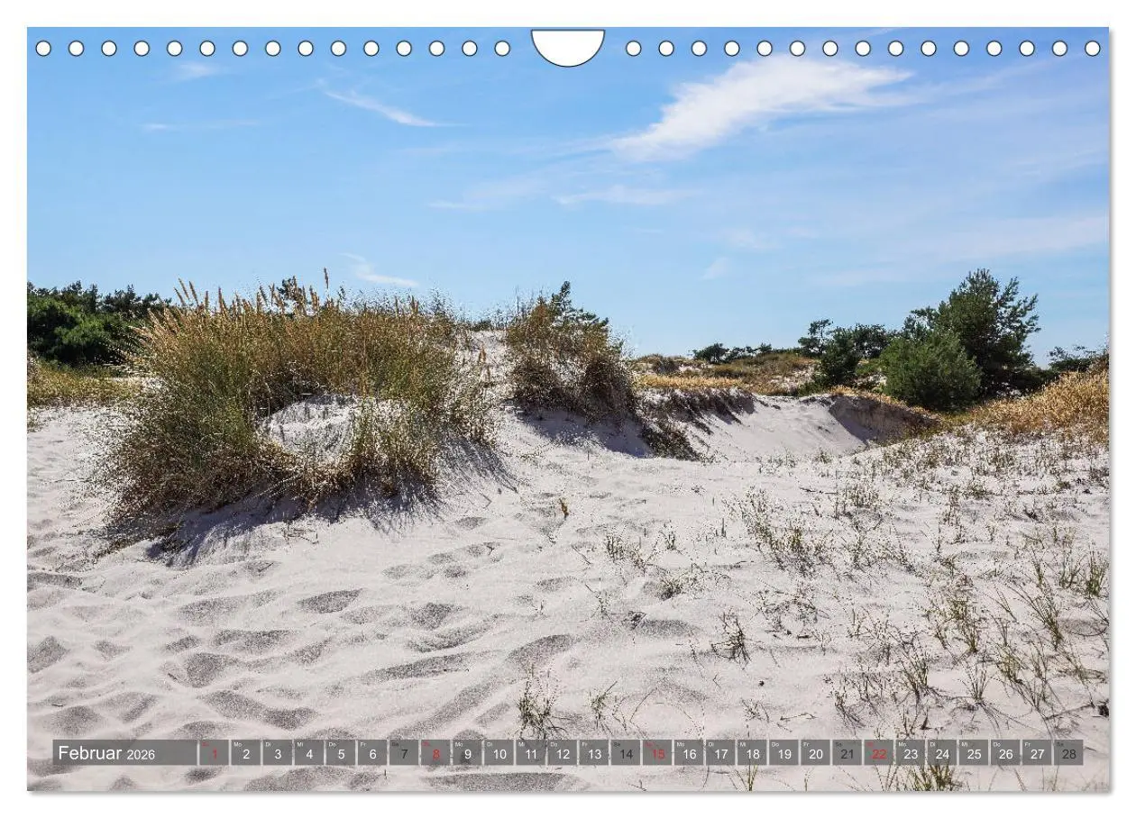 Bild: 9783457815755 | Fischland Darß Zingst - wie gemalt (Wandkalender 2026 DIN A4 quer),...