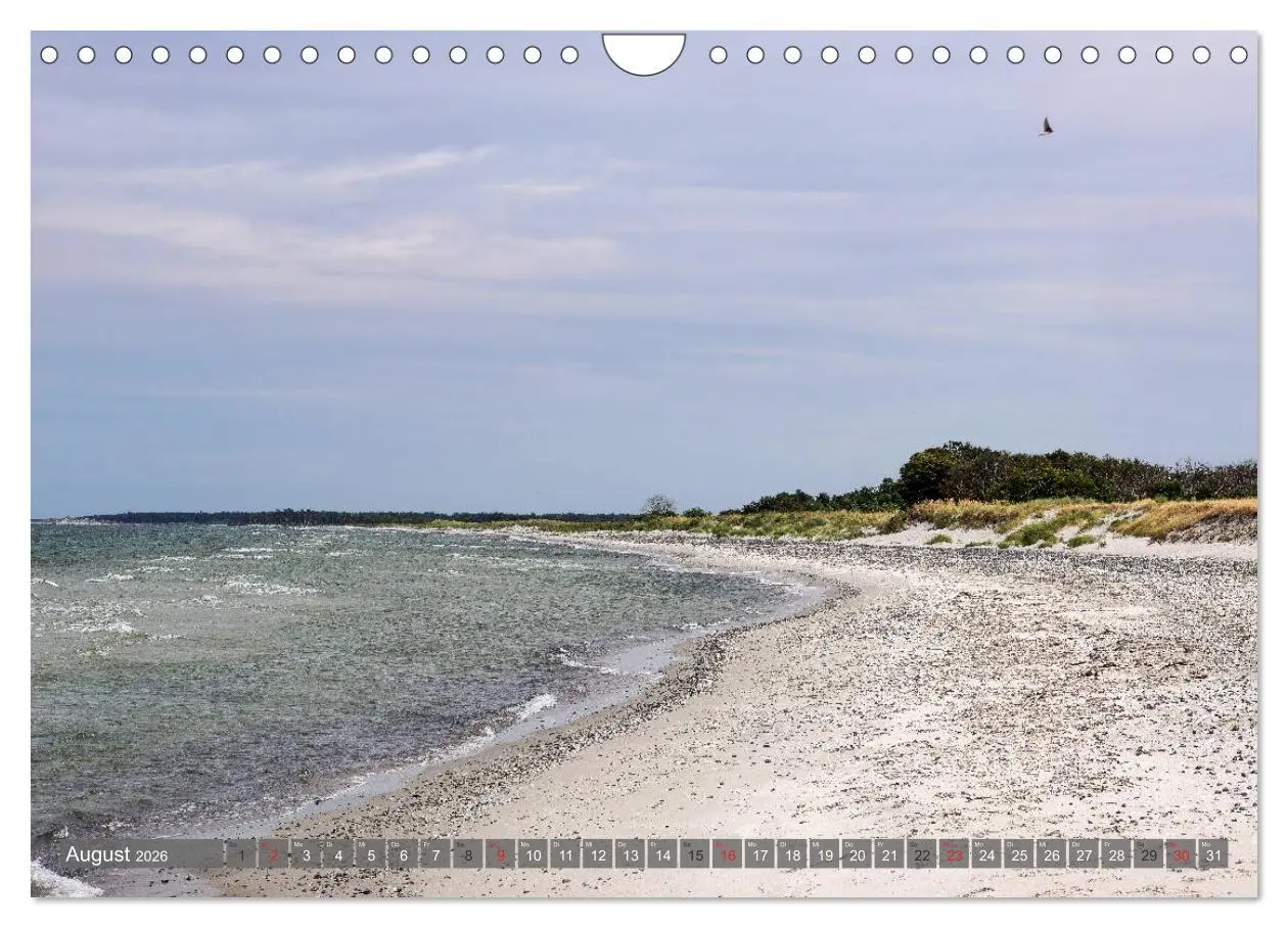 Bild: 9783457815755 | Fischland Darß Zingst - wie gemalt (Wandkalender 2026 DIN A4 quer),...
