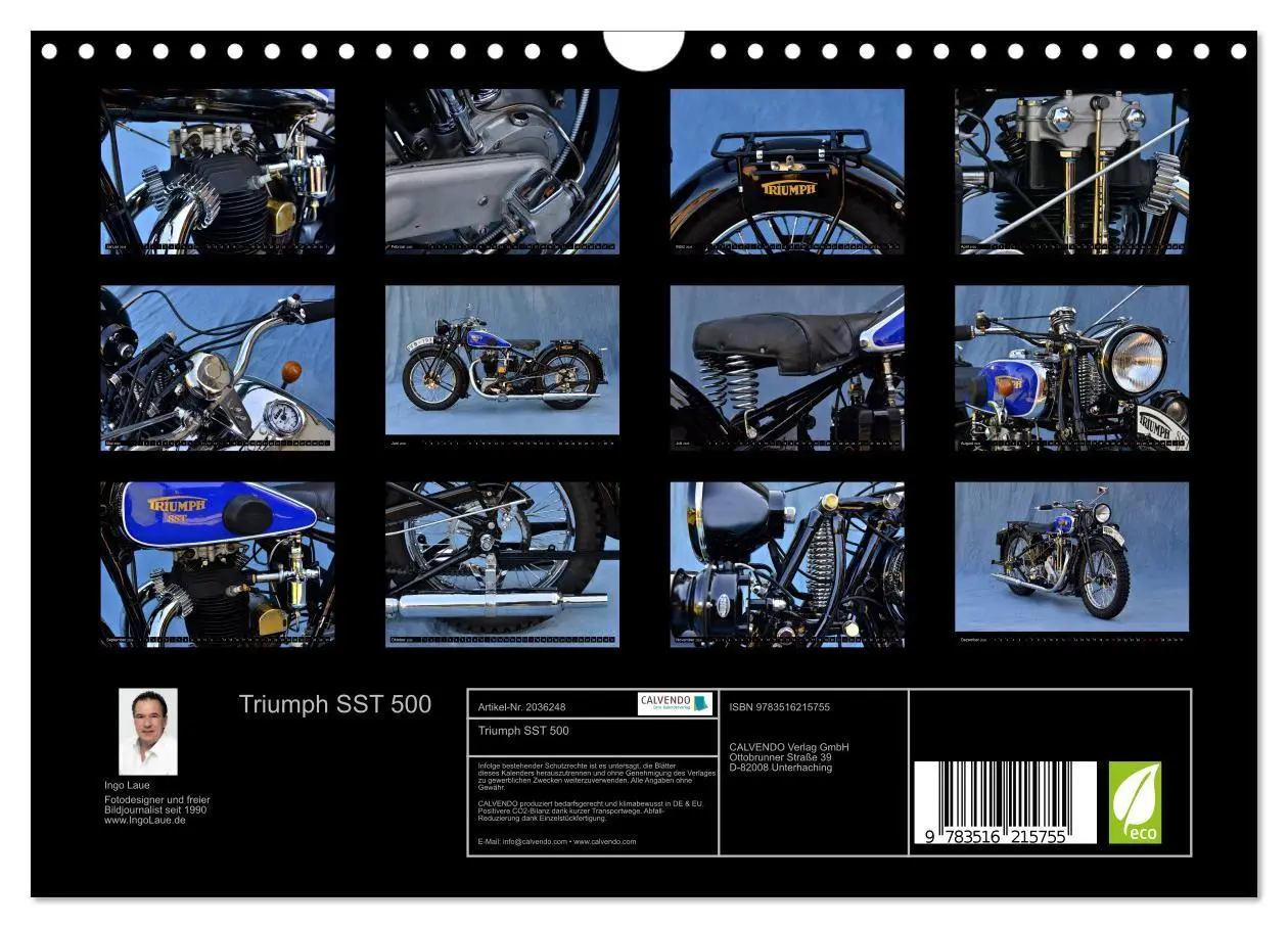 Bild: 9783516215755 | Triumph SST 500 (Wandkalender 2026 DIN A4 quer), CALVENDO...
