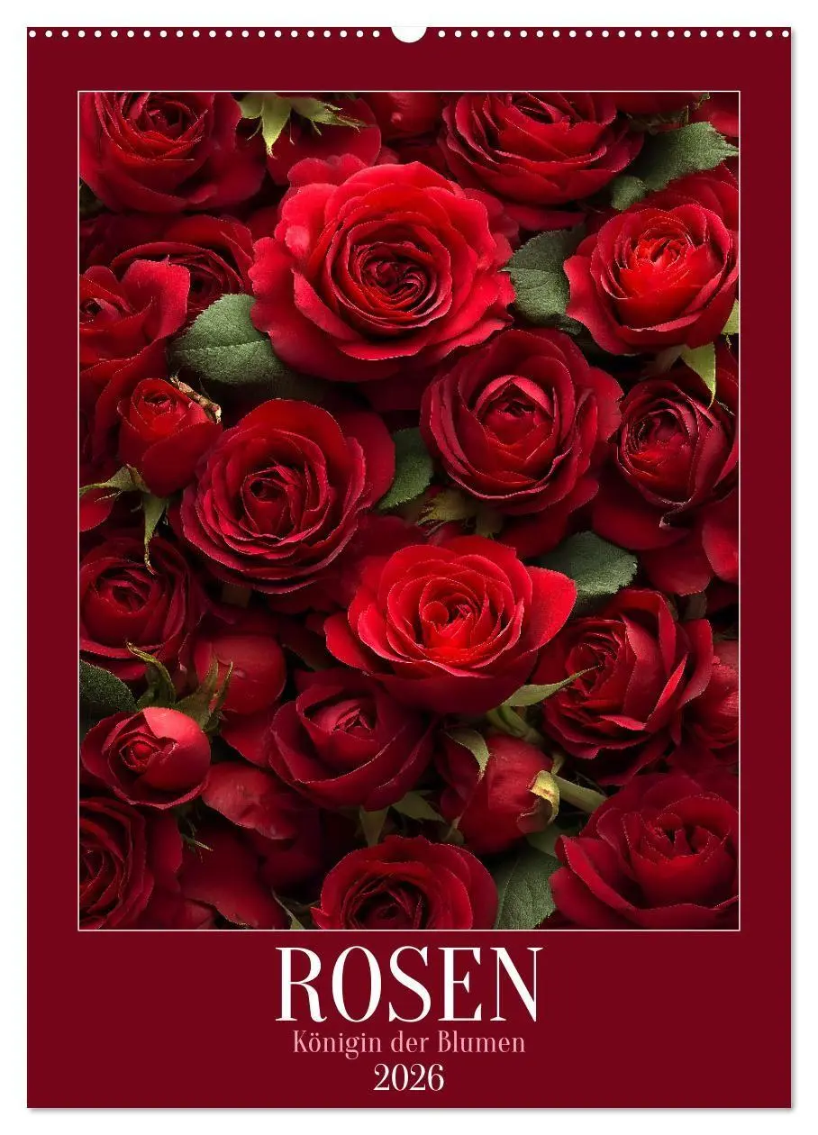 Cover: 9783516695755 | Rosen - Königin der Blumen (Wandkalender 2026 DIN A2 hoch),...