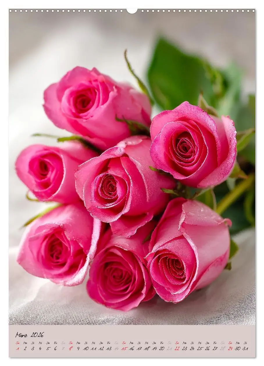 Bild: 9783516695755 | Rosen - Königin der Blumen (Wandkalender 2026 DIN A2 hoch),...