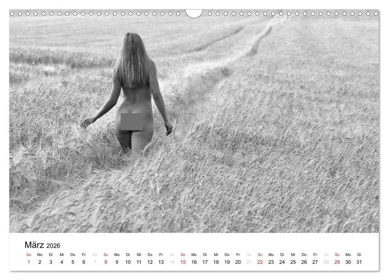 Bild: 9783457975855 | Klassischer Akt schwarz und weiß (Wandkalender 2026 DIN A3 quer),...