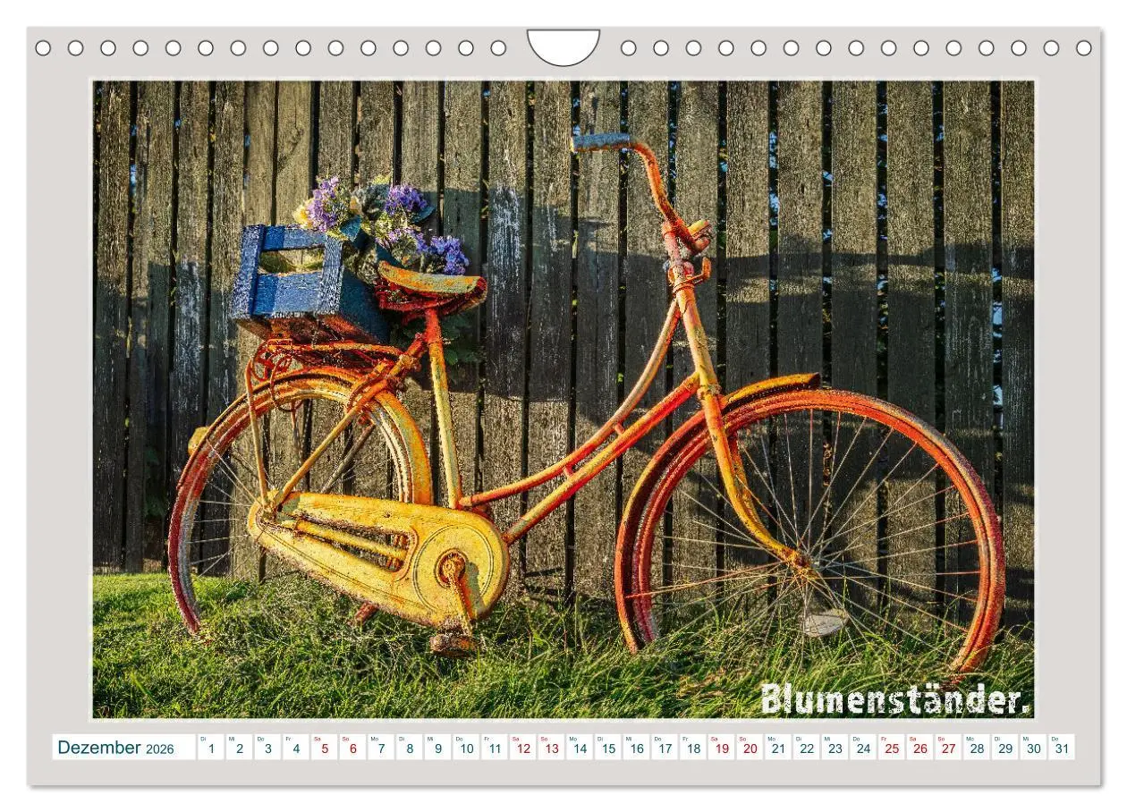 Bild: 9783457345955 | Das Fahrrad als ... (Wandkalender 2026 DIN A4 quer), CALVENDO...