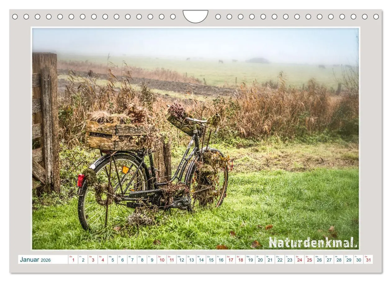 Bild: 9783457345955 | Das Fahrrad als ... (Wandkalender 2026 DIN A4 quer), CALVENDO...
