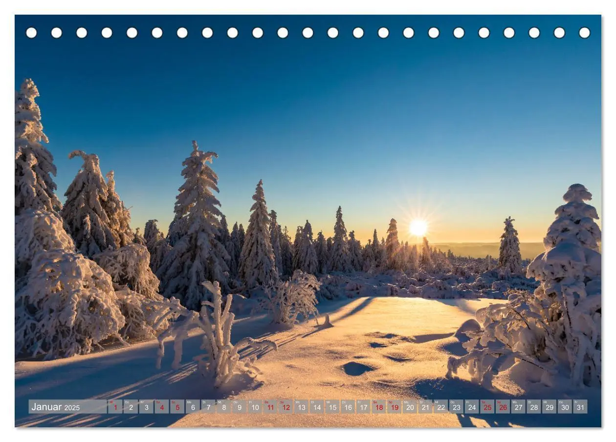 Bild: 9783435076055 | Ein Jahr im Schwarzwald (Tischkalender 2025 DIN A5 quer), CALVENDO...