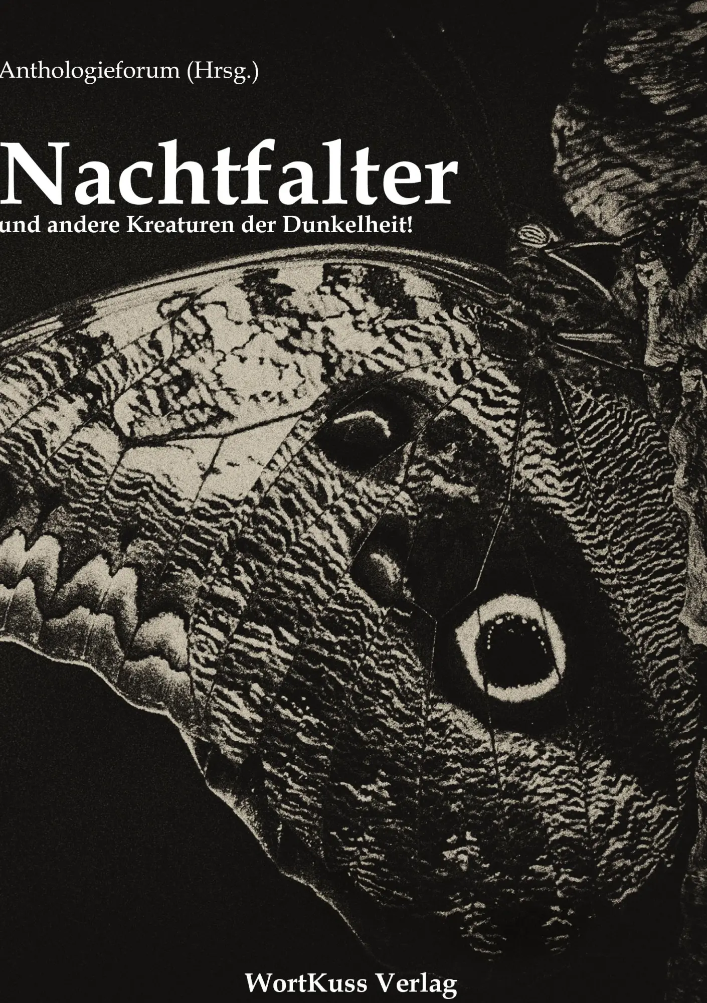 Cover: 9783942026055 | Nachtfalter und andere Kreaturen der Dunkelheit | Dölger (u. a.)
