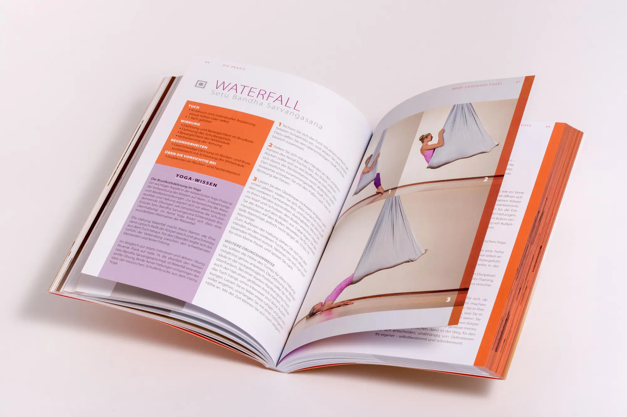 Bild: 9783958036055 | Aerial Yoga | Wolfgang Mießner (u. a.) | Taschenbuch | 208 S. | 2024