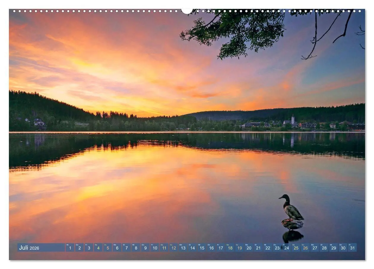 Bild: 9783457466155 | Schwarzwald - Märchenwald (hochwertiger Premium Wandkalender 2026...