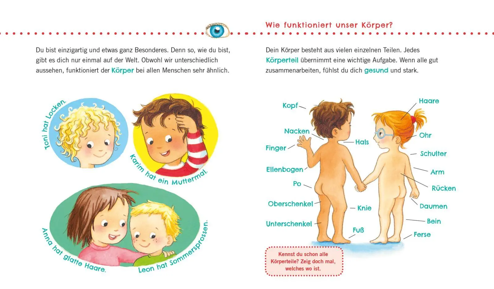 Bild: 9783551036155 | Unkaputtbar: Erstes Wissen: Das ist mein Körper | Maria Höck | Buch