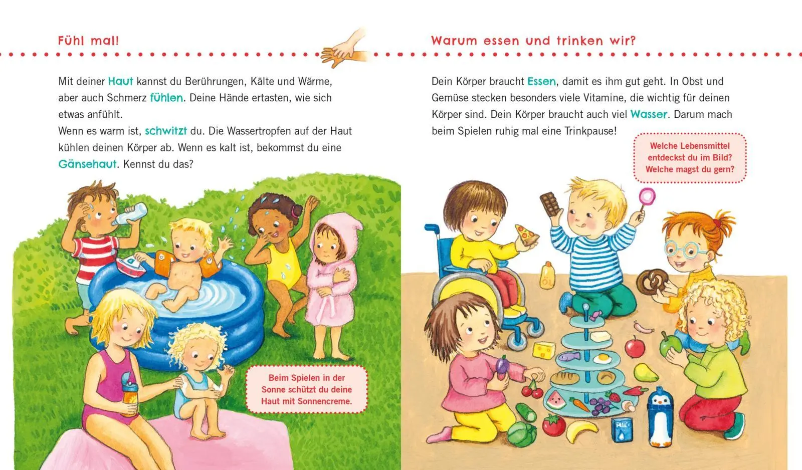 Bild: 9783551036155 | Unkaputtbar: Erstes Wissen: Das ist mein Körper | Maria Höck | Buch