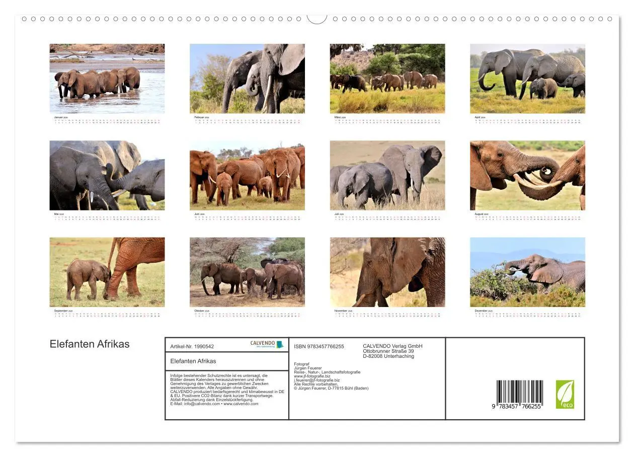 Bild: 9783457766255 | Elefanten Afrikas (hochwertiger Premium Wandkalender 2026 DIN A2...