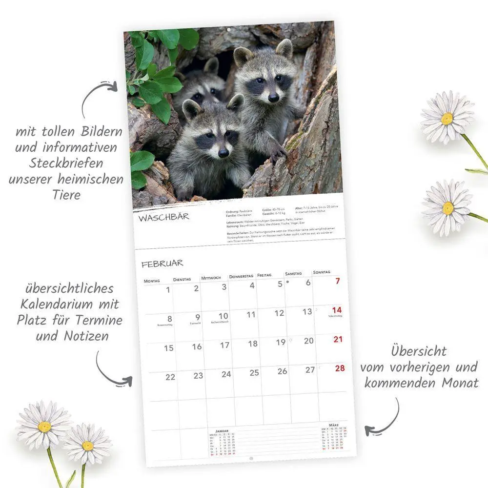 Bild: 9783988026255 | TRÖTSCH - Broschürenkalender Heimische Tierwelt 2027 | Wandplaner | KG