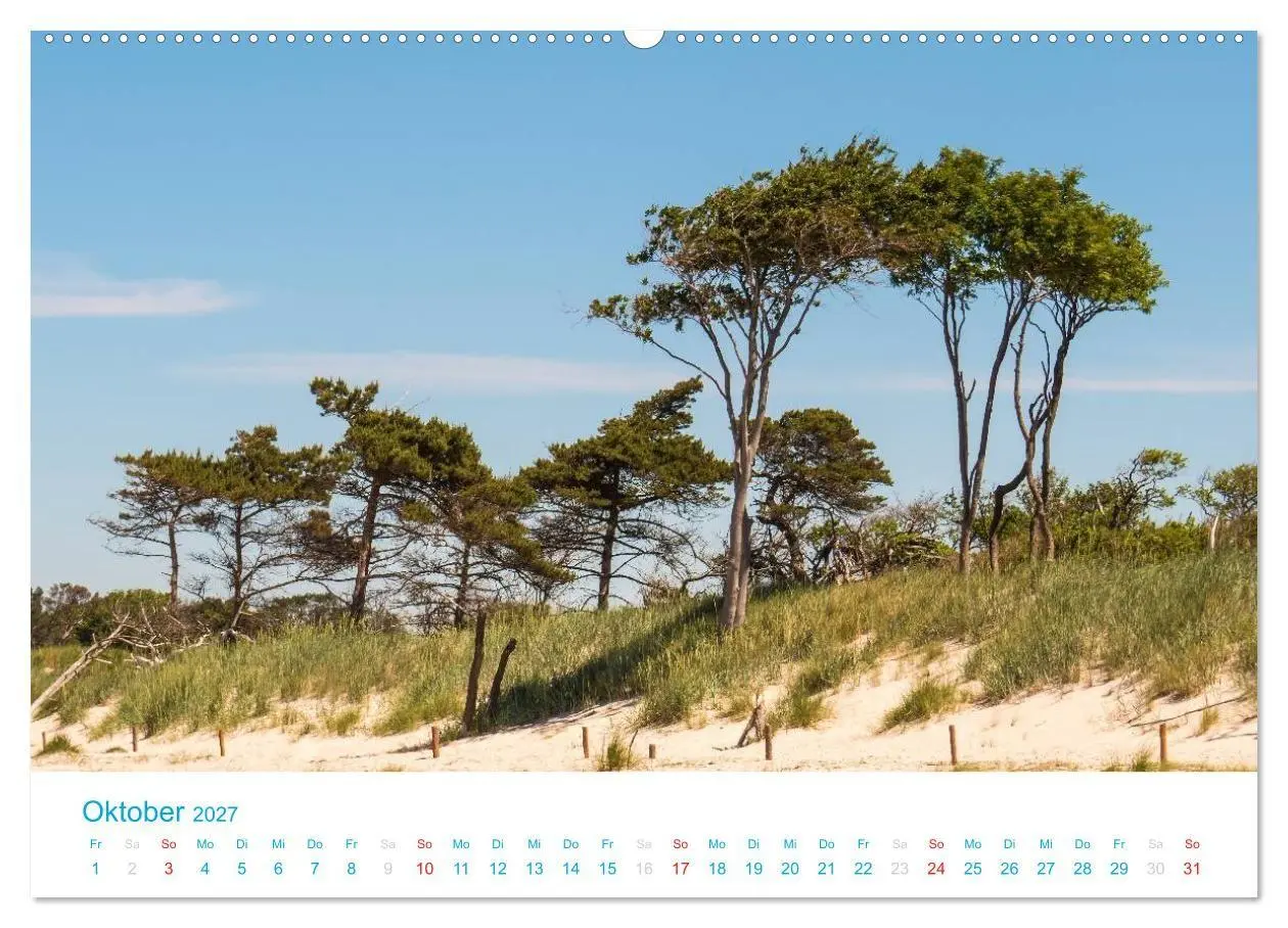 Bild: 9783594206355 | Der Darß Kalender (hochwertiger Premium Wandkalender 2027 DIN A2...