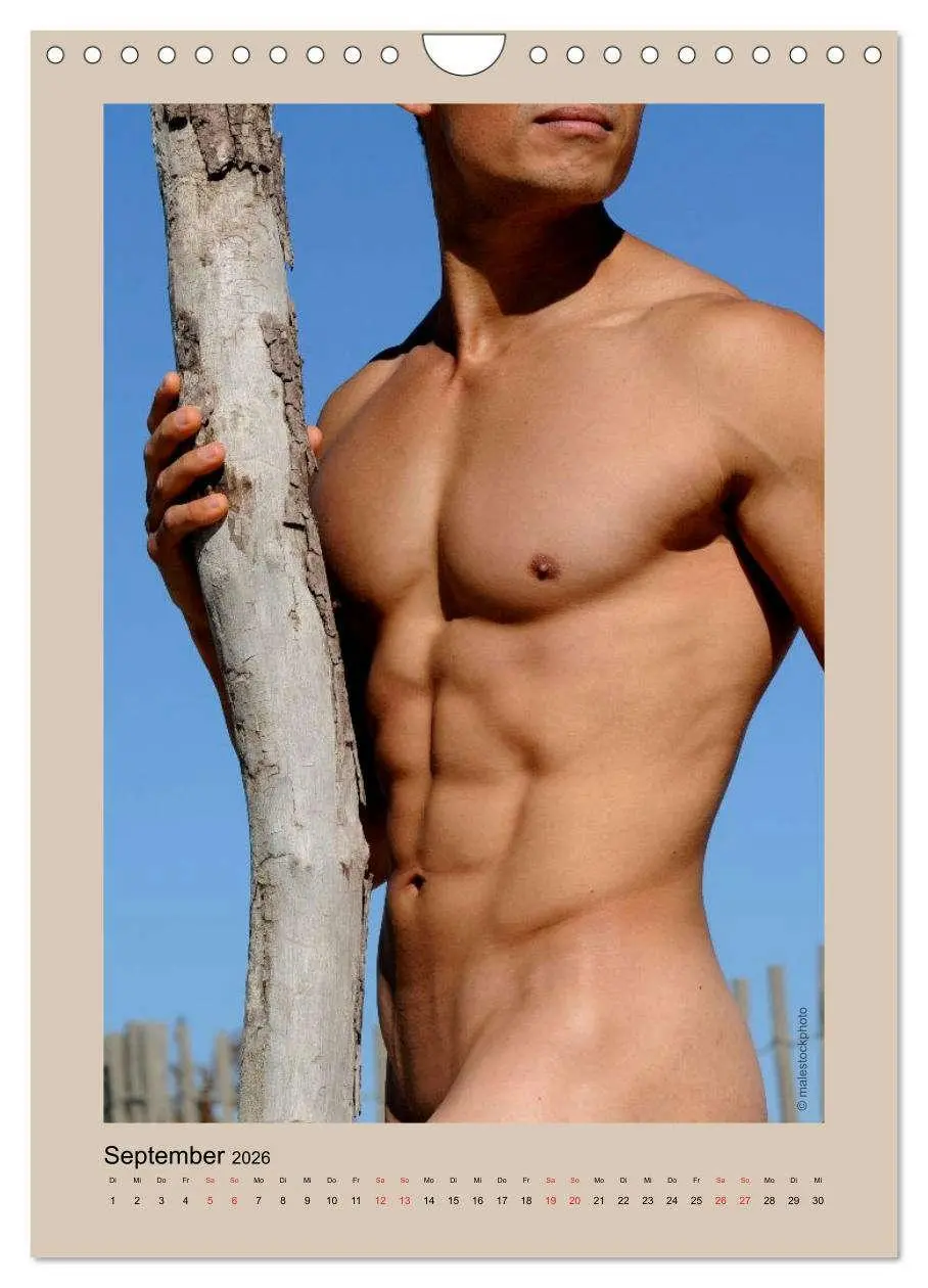Bild: 9783457296455 | Torso - Männer 2026 (Wandkalender 2026 DIN A4 hoch), CALVENDO...