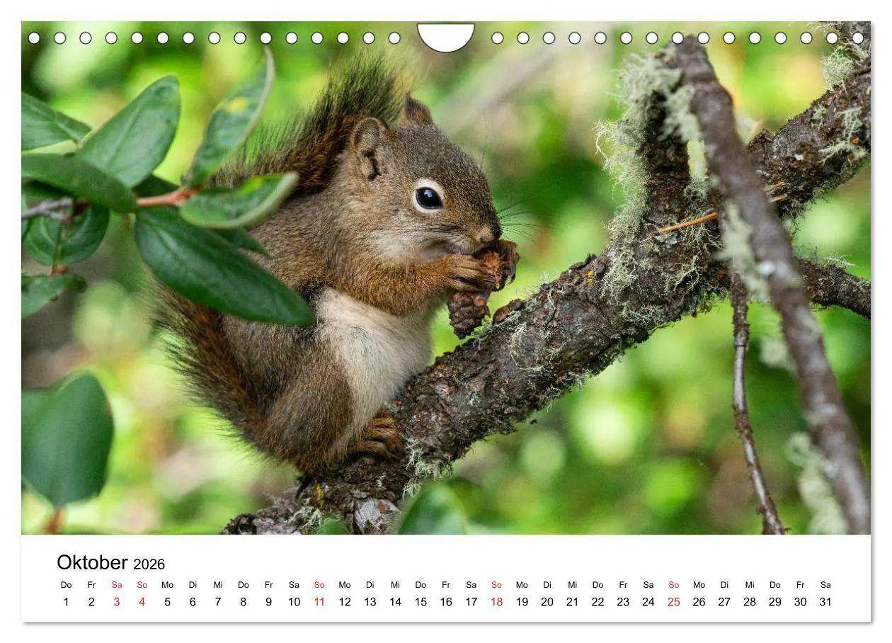 Bild: 9783457736555 | Fernweh Kanada - Naturerlebnis Rocky Mountains (Wandkalender 2026...