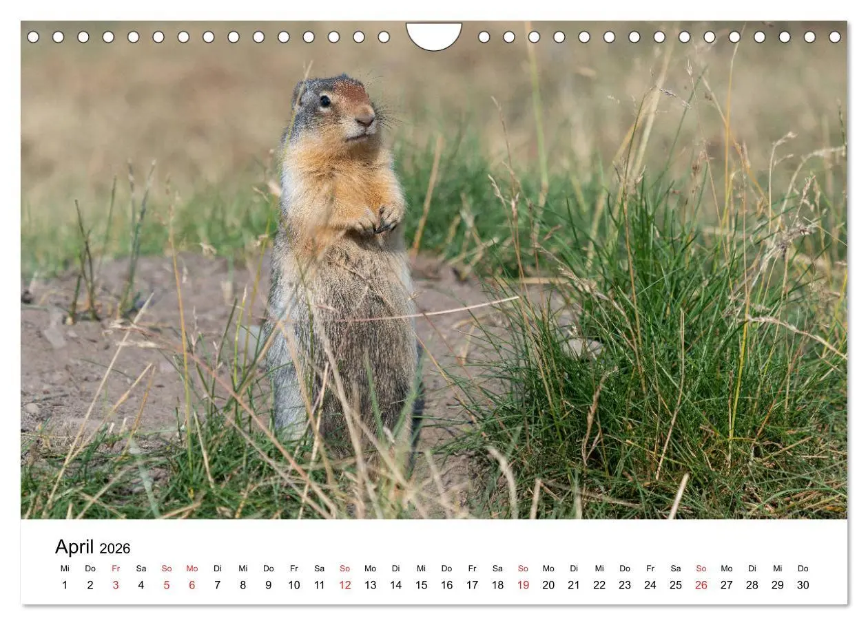 Bild: 9783457736555 | Fernweh Kanada - Naturerlebnis Rocky Mountains (Wandkalender 2026...