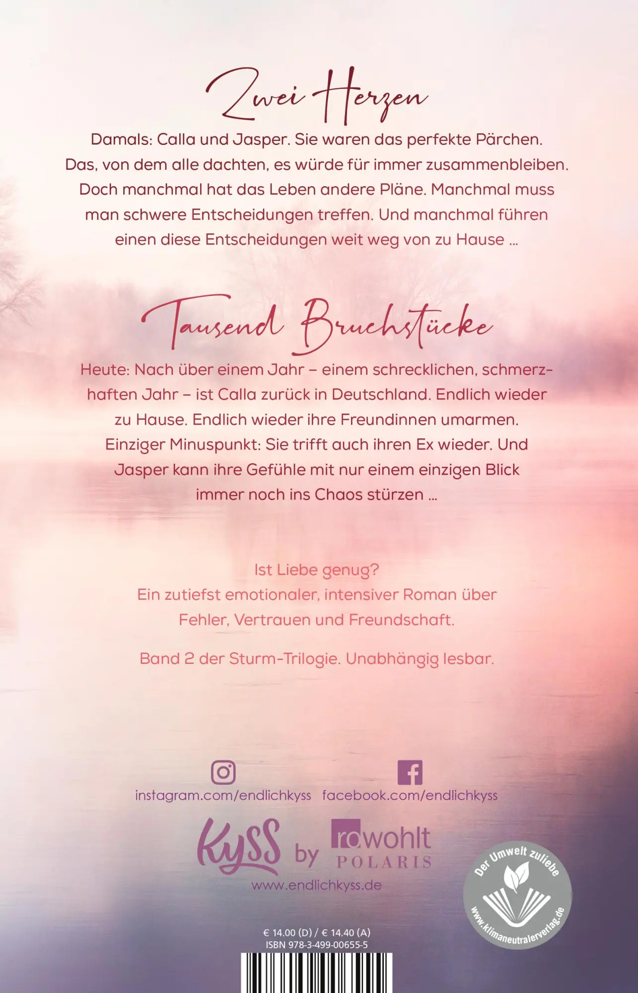 Rückseite: 9783499006555 | Nebelschimmer | Anya Omah | Taschenbuch | Sturm-Trilogie | 432 S.