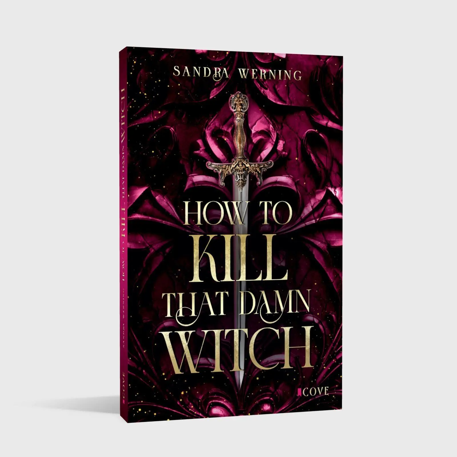 Bild: 9783551306555 | How to Kill That Damn Witch (Damn Witch 1) | Sandra Werning | Buch