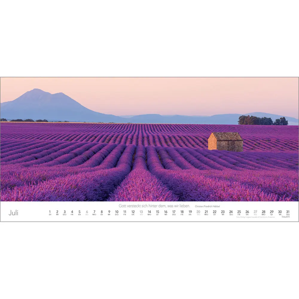 Bild: 9783754806555 | So weit das Auge reicht 2025 | Panoramakalender | Kalender | Deutsch