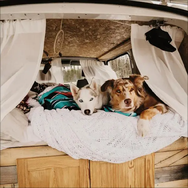 Bild: 9783731886655 | Vanlife 2026 | Verlag Korsch | Kalender | 13 S. | Deutsch | 2026