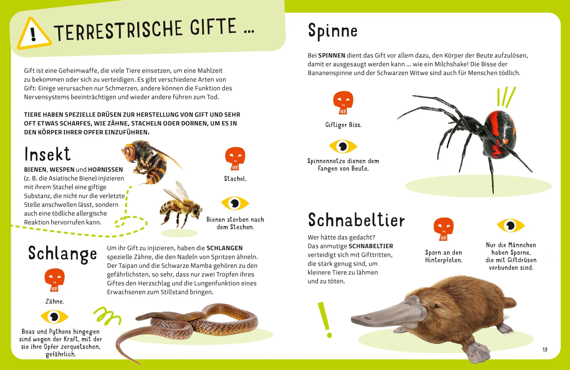 Bild: 9788863126655 | Die tödlichsten Tiere. Ein aufregendes Count-Down der...