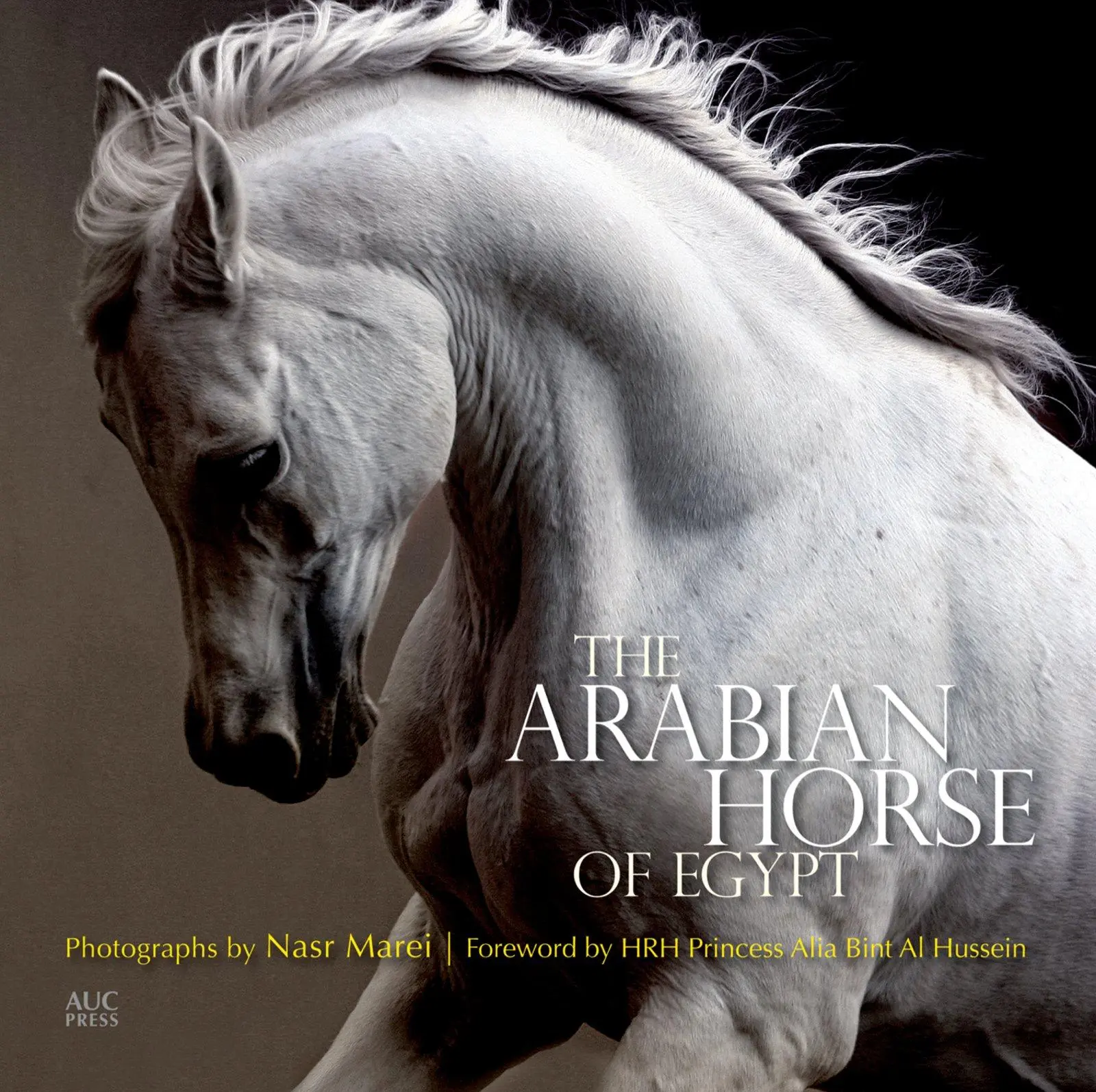 Cover: 9789774166655 | The Arabian Horse of Egypt | Cynthia Culbertson (u. a.) | Taschenbuch