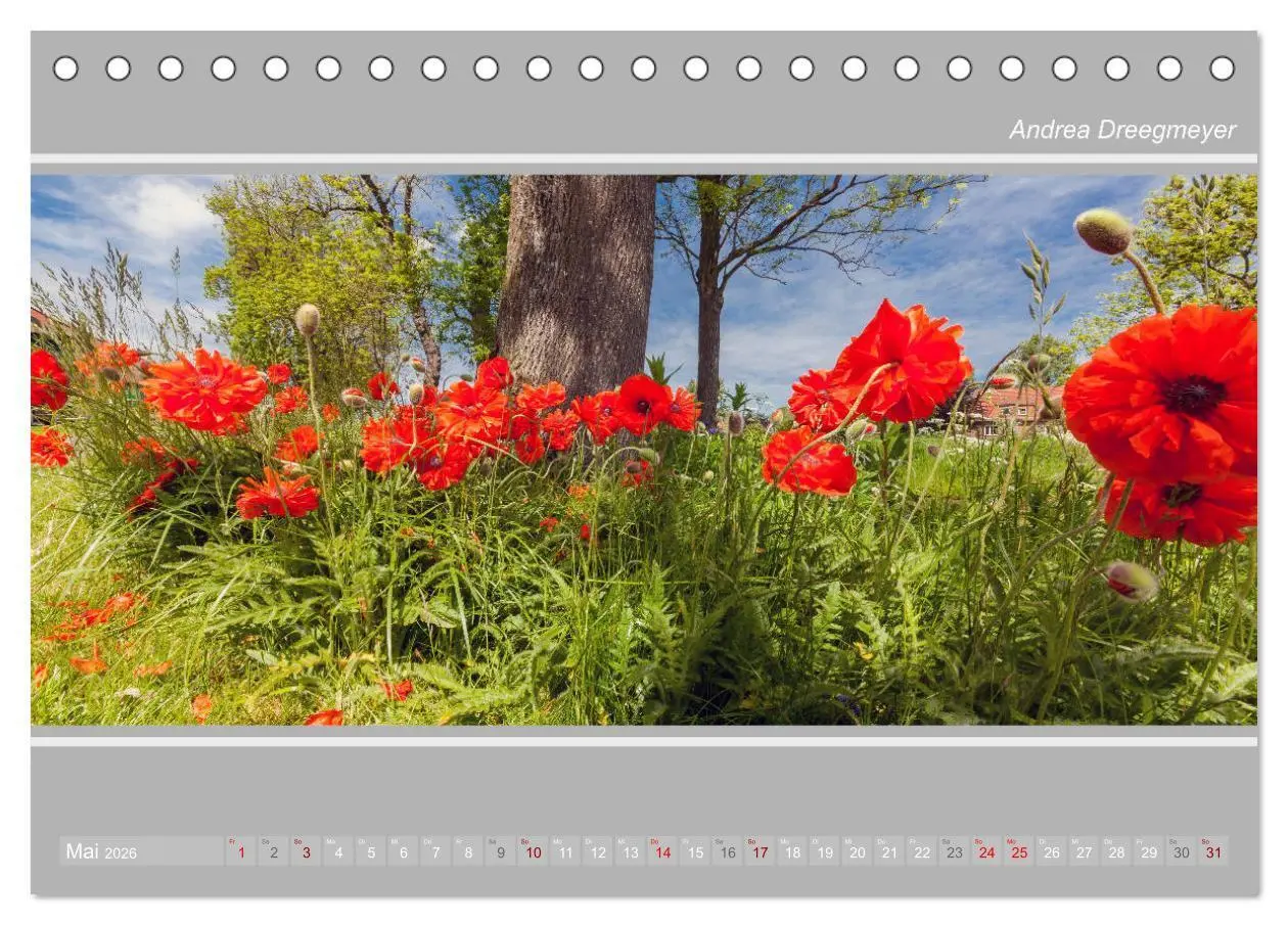 Bild: 9783457886755 | Krummhörn im Panorama-Format (Tischkalender 2026 DIN A5 quer),...