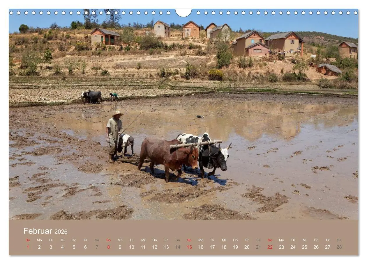 Bild: 9783457956755 | Alltag in Madagaskar (Wandkalender 2026 DIN A3 quer), CALVENDO...