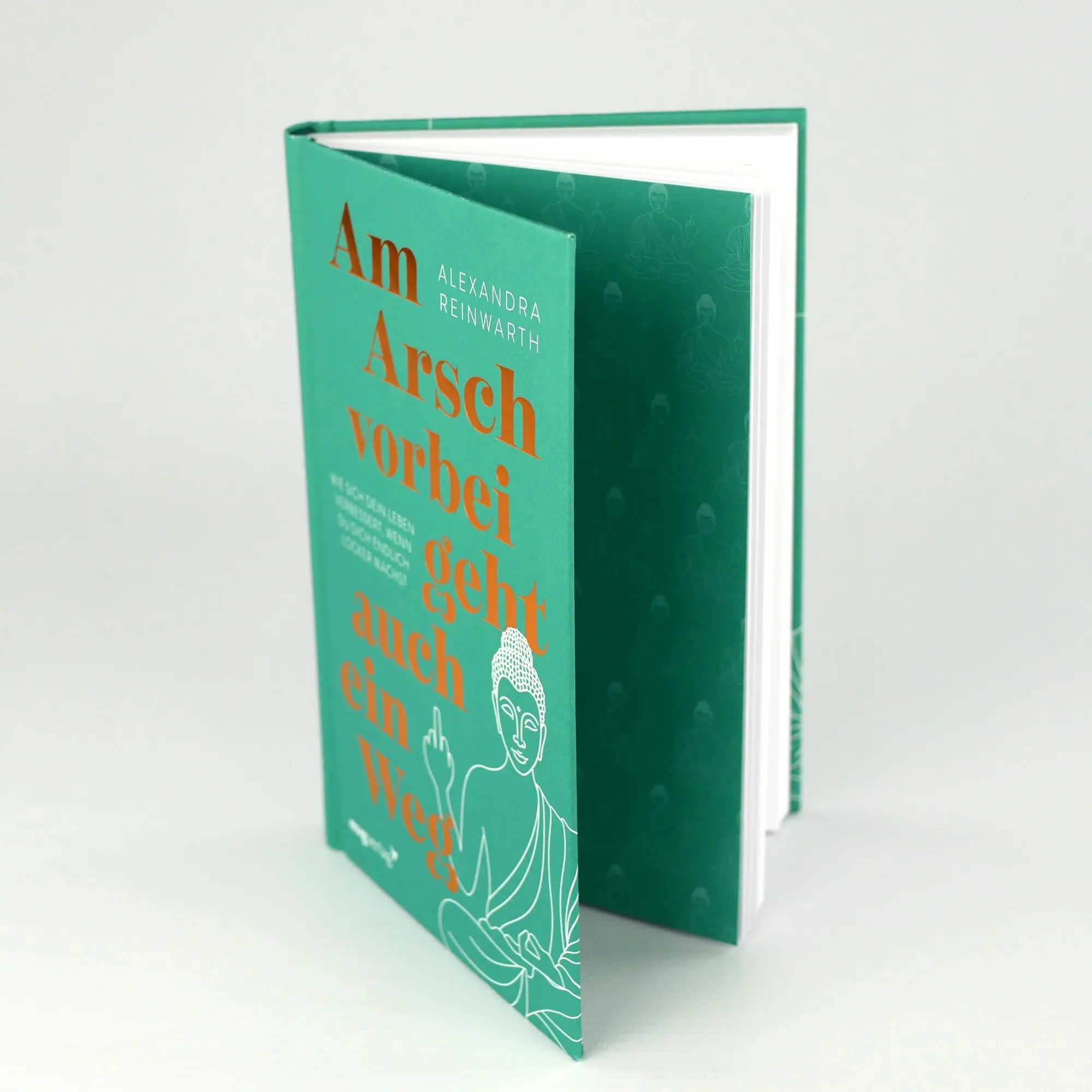 Bild: 9783747406755 | Am Arsch vorbei geht auch ein Weg - Special Edition | Reinwarth | Buch