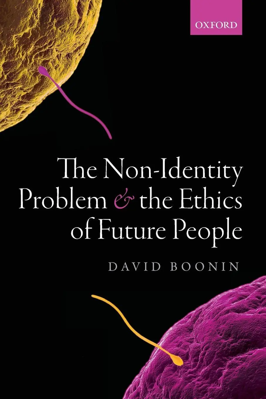 Cover: 9780198866855 | NON-IDENTITY PROBLEM P | Boonin | Taschenbuch | Englisch | 2020
