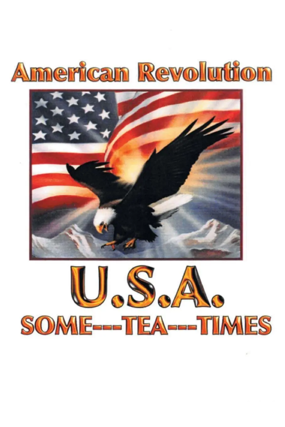 Cover: 9781644246955 | American Revolution USA | Some Tea Times | Clarene J. Gomer | Buch