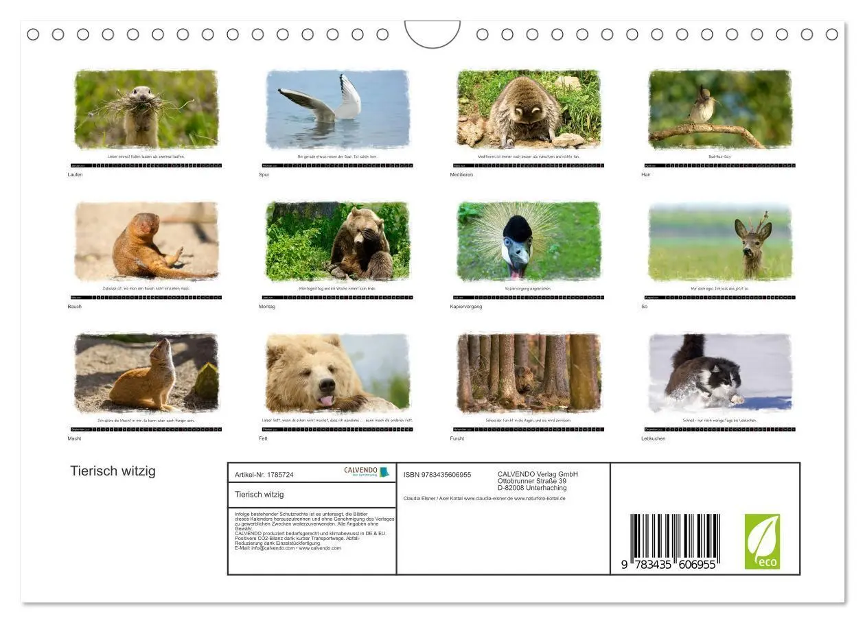 Bild: 9783435606955 | Tierisch witzig (Wandkalender 2025 DIN A4 quer), CALVENDO...