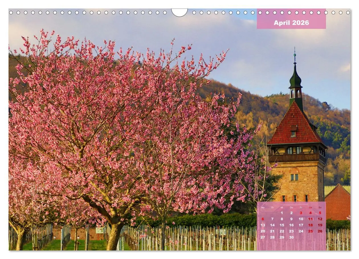 Bild: 9783457626955 | Märchenhaft schöne Südliche Weinstraße (Wandkalender 2026 DIN A3...