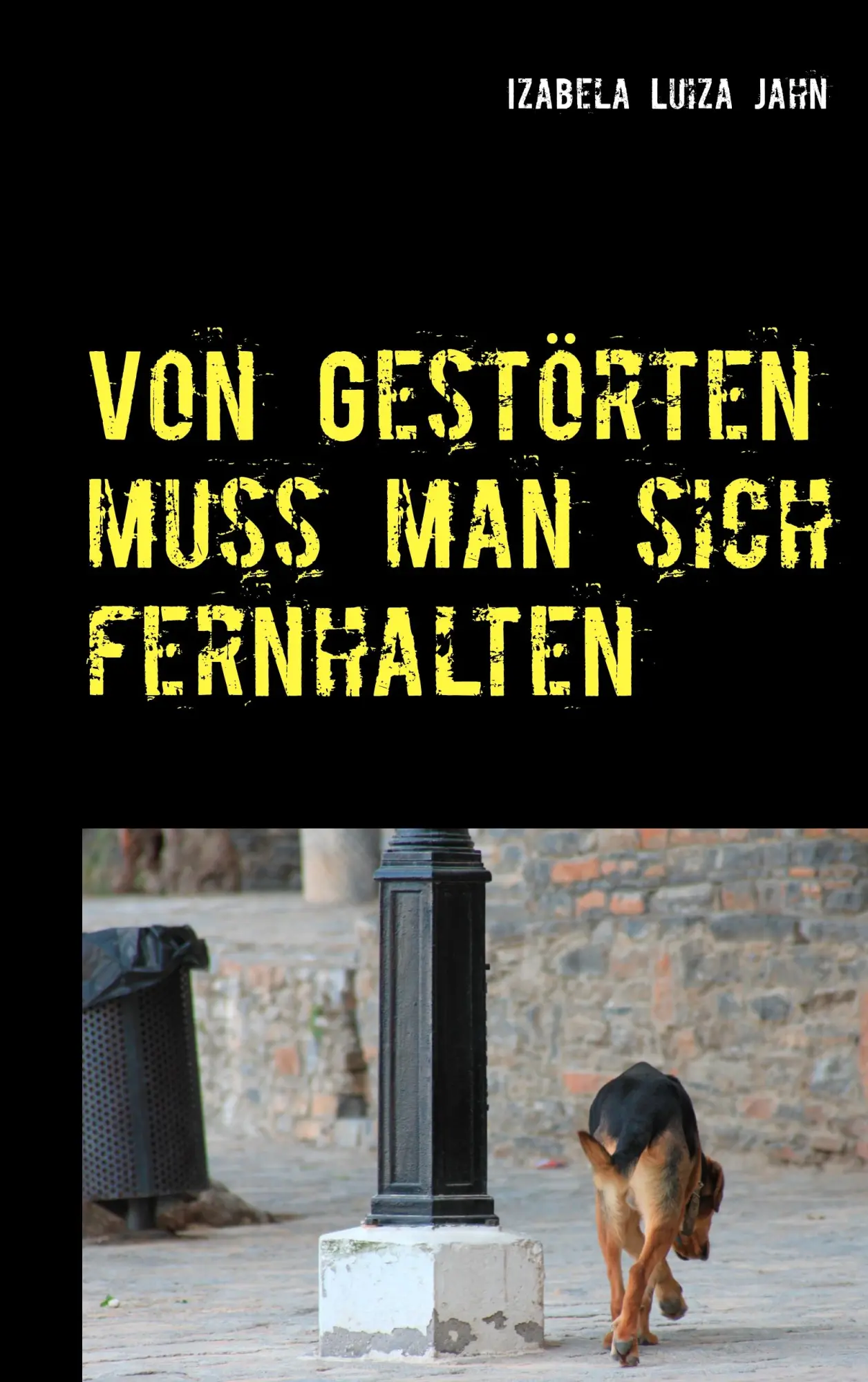 Cover: 9783749466955 | Von Gestörten muss man sich fernhalten | Izabela Luiza Jahn | Buch