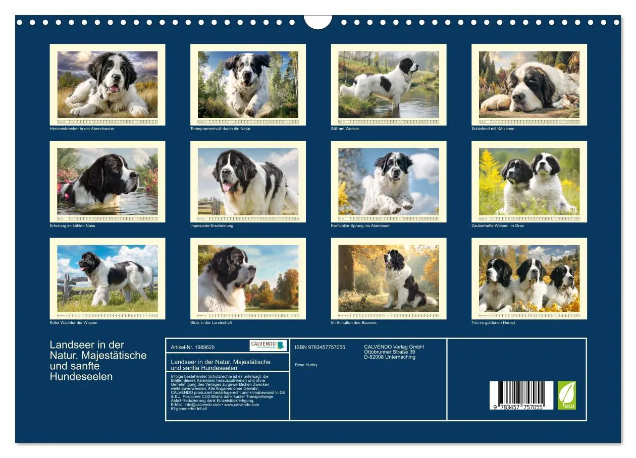Bild: 9783457757055 | Landseer in der Natur. Majestätische und sanfte Hundeseelen...
