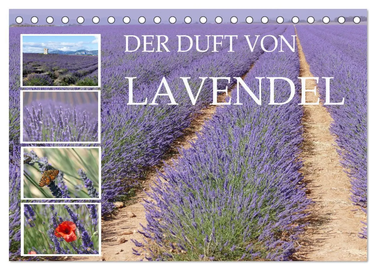 Cover: 9783457507155 | Der Duft von Lavendel (Tischkalender 2026 DIN A5 quer), CALVENDO...