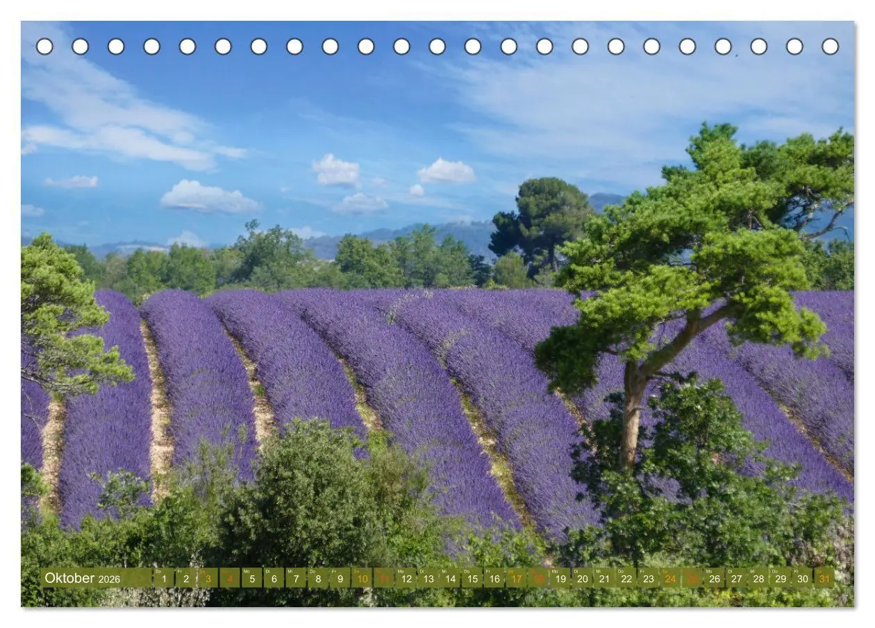 Bild: 9783457507155 | Der Duft von Lavendel (Tischkalender 2026 DIN A5 quer), CALVENDO...
