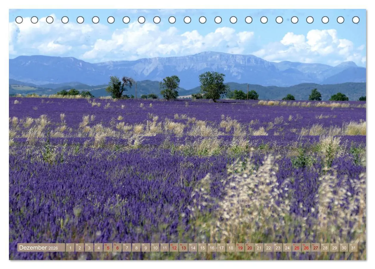 Bild: 9783457507155 | Der Duft von Lavendel (Tischkalender 2026 DIN A5 quer), CALVENDO...