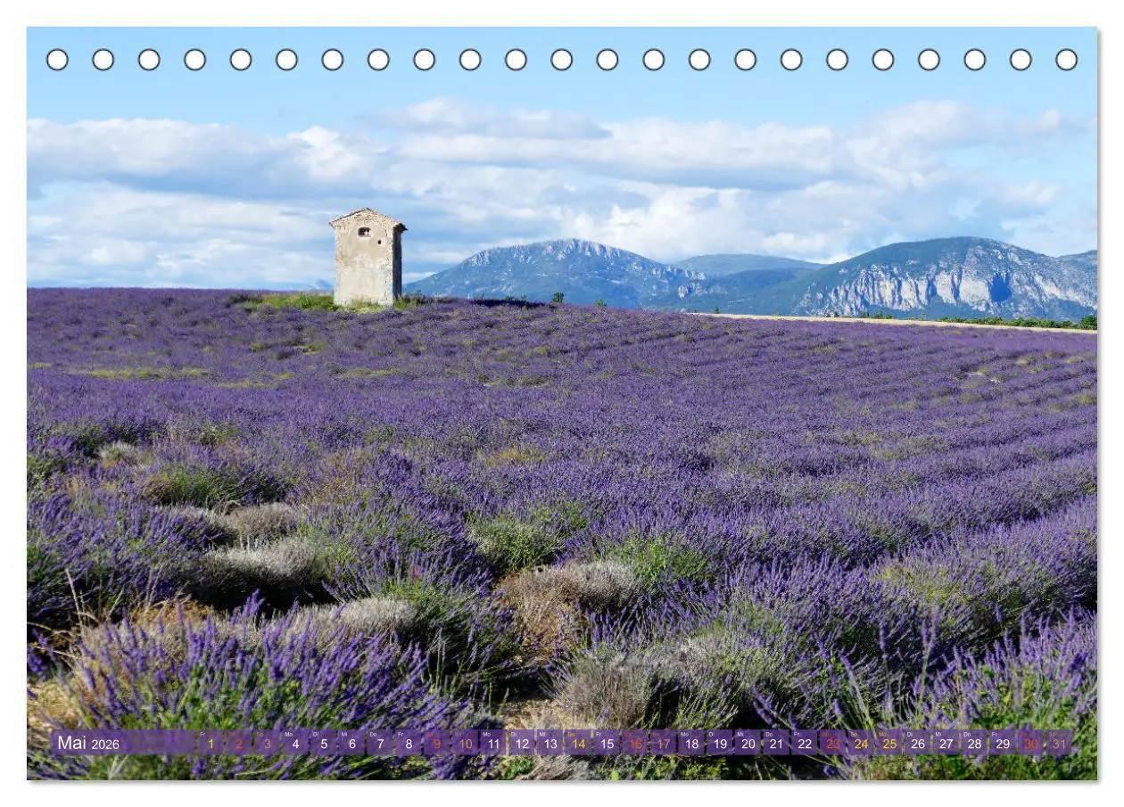 Bild: 9783457507155 | Der Duft von Lavendel (Tischkalender 2026 DIN A5 quer), CALVENDO...
