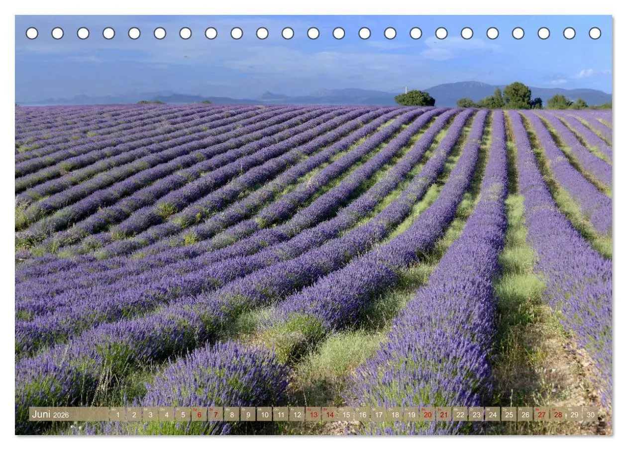 Bild: 9783457507155 | Der Duft von Lavendel (Tischkalender 2026 DIN A5 quer), CALVENDO...