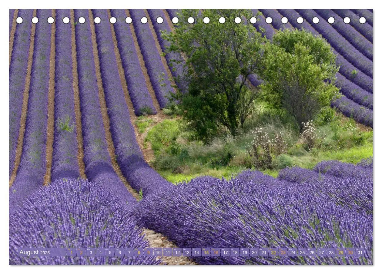 Bild: 9783457507155 | Der Duft von Lavendel (Tischkalender 2026 DIN A5 quer), CALVENDO...