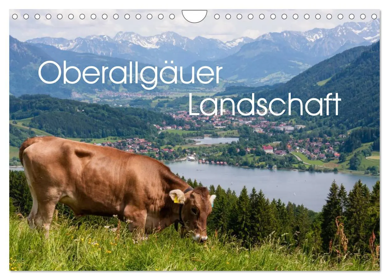 Cover: 9783516077155 | Oberallgäuer Landschaft (Wandkalender 2026 DIN A4 quer), CALVENDO...
