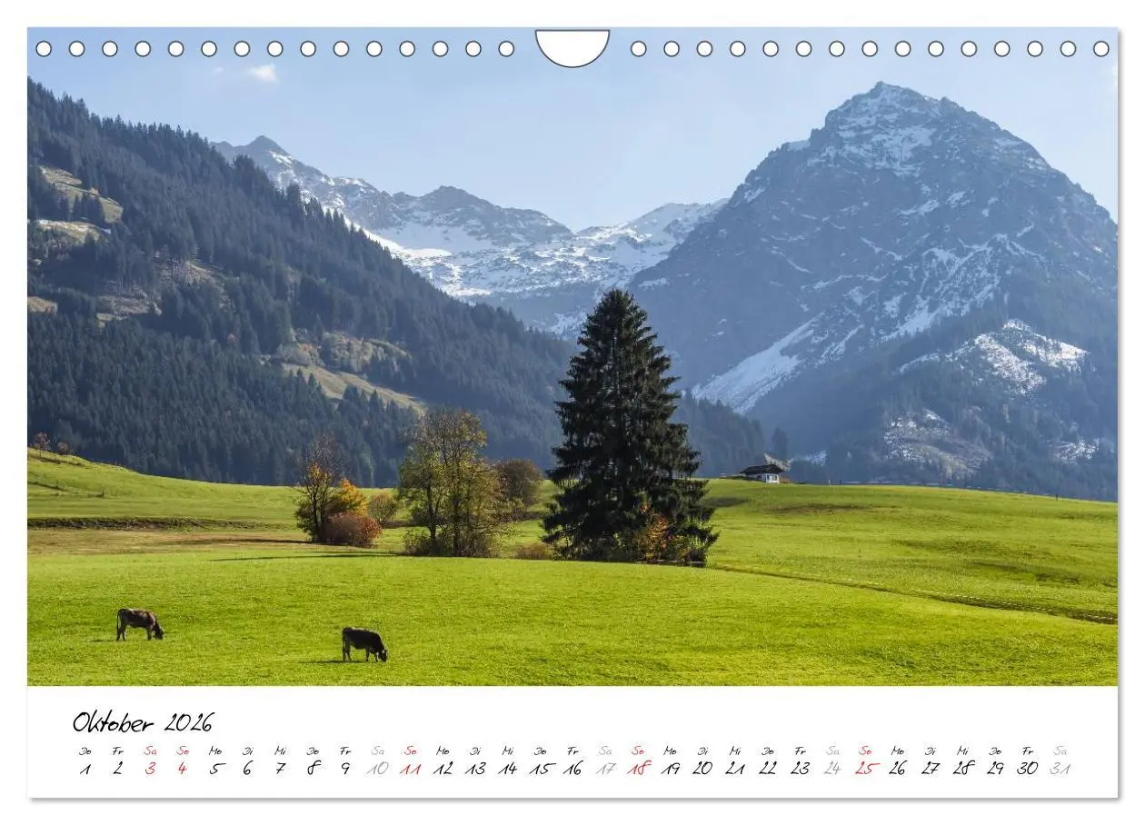 Bild: 9783516077155 | Oberallgäuer Landschaft (Wandkalender 2026 DIN A4 quer), CALVENDO...