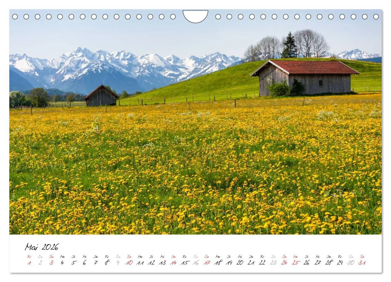 Bild: 9783516077155 | Oberallgäuer Landschaft (Wandkalender 2026 DIN A4 quer), CALVENDO...