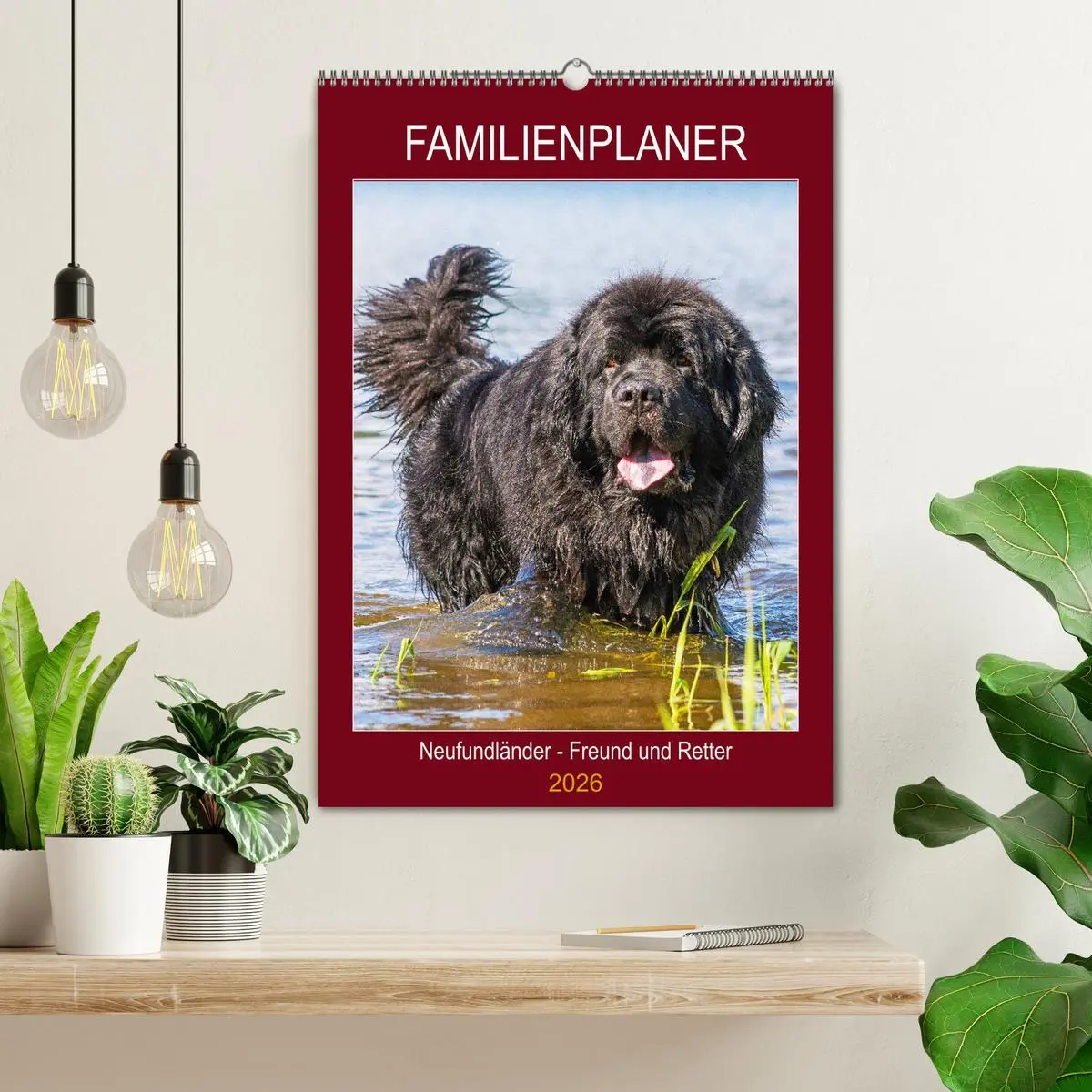Bild: 9783516387155 | Familienplaner Neufundländer - Freund und Retter (Wandkalender 2026...
