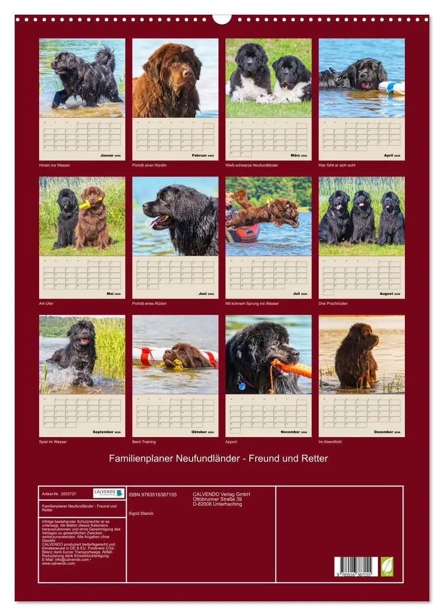 Bild: 9783516387155 | Familienplaner Neufundländer - Freund und Retter (Wandkalender 2026...