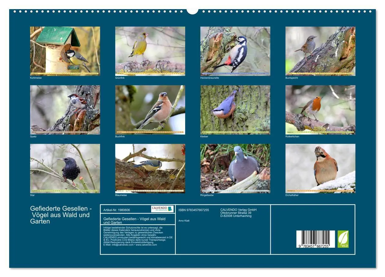 Bild: 9783457667255 | Gefiederte Gesellen - Vögel aus Wald und Garten (hochwertiger...