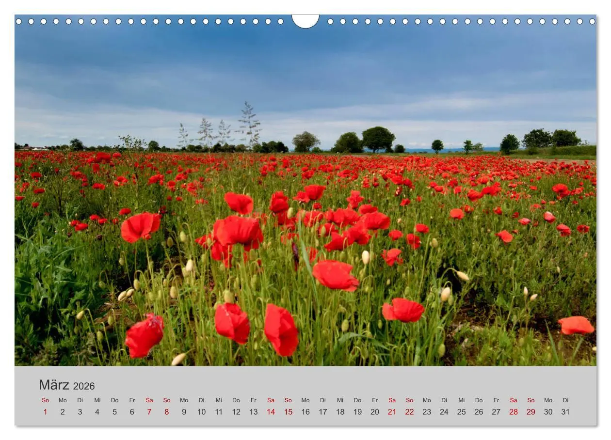 Bild: 9783457807255 | Die Schönheit der Bretagne (Wandkalender 2026 DIN A3 quer),...